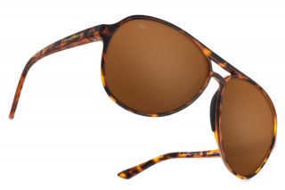 Shady Rays Aviator Crossover - Amber Tortoise