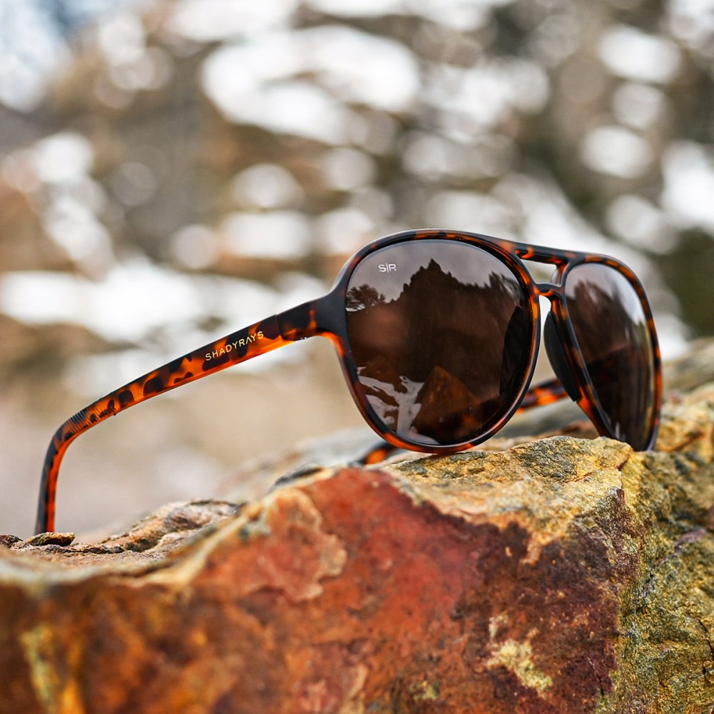 Shady Rays Aviator Crossover - Amber Tortoise